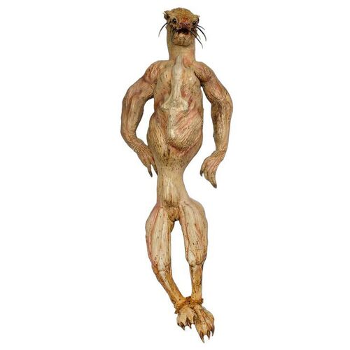 Lot # 1075: Predators (2010) - Catfish-Like Species Life-Size Body