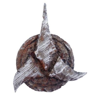 Lot # 1237: Star Trek Into Darkness (2013) - Klingon Empire Coat Badge