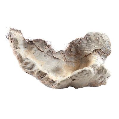 Lot # 1260: Star Wars: A New Hope (1977) - Krayt Dragon Bone Piece