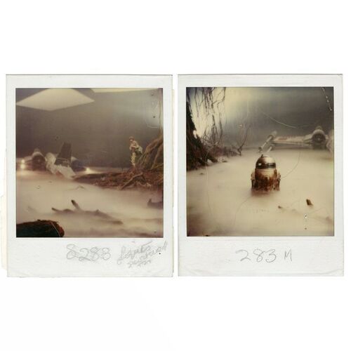 Lot # 1273: Star Wars: The Empire Strikes Back (1980) - On Set Polaroids Featuring Luke Skywalker and R2-D2 on Dagobah