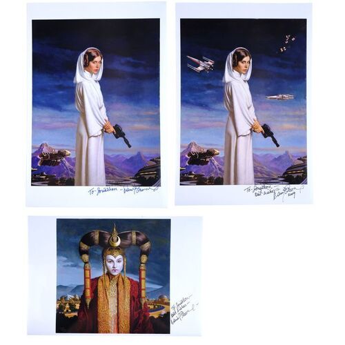 Lot # 1783: Star Wars Art: Visions (2010) - J.W. Rinzler Collection: Daniel Greene-Signed Prints
