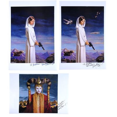 Lot # 1783: Star Wars Art: Visions (2010) - J.W. Rinzler Collection: Daniel Greene-Signed Prints