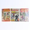 Lot # 1473: Marvel Comics - J.W. Rinzler Collection: The Amazing Spider-Man No. 2-4 [Qty. 3]