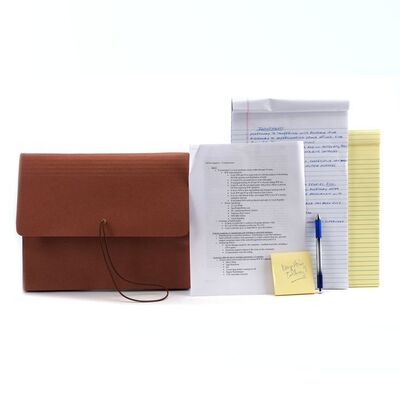 Lot # 285: Saul Goodman (as played by Bob Odenkirk) Indictment Papers