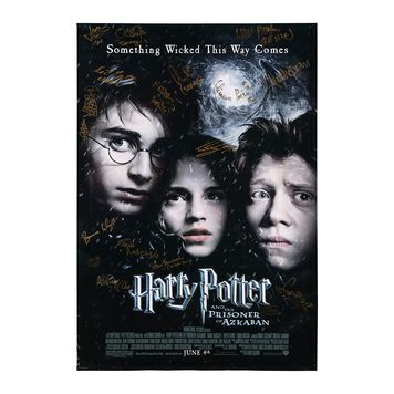 Harry Potter poster - Prisoner Of Azkaban movie poster - Daniel Radcliffe  poster