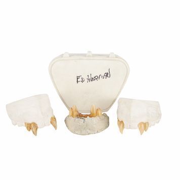Lot # 255 : LOST BOYS, THE (1987) - Max's (Edward Herman) Hero Top & Bottom Fangs and Case