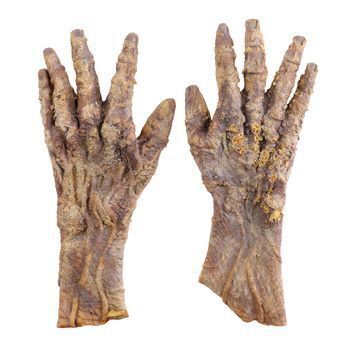 Lot # 540 : MICHAEL JACKSON: THRILLER (MUSIC VIDEO, 1983) - Graveyard Zombie Gloves