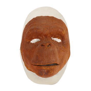 Lot # 624 : 2001: A SPACE ODYSSEY (1968) - "Dawn of Man" Ape Mask