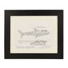 Lot # 692 : AUSTIN POWERS IN GOLDMEMBER (2002) - Hand-drawn Shark with Laser beams Concept Illustration