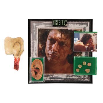 Lot # 908 : FLY, THE (1986) - Seth Brundle (Jeff Goldblum) Shed Ear, Fingernails and Broken Wrist Prosthetics