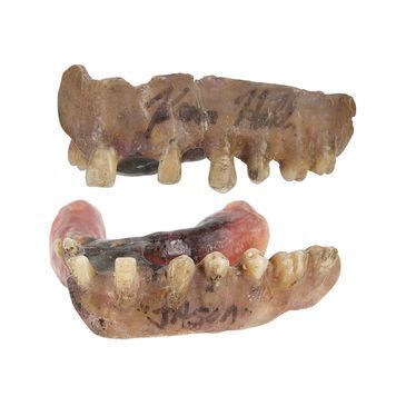 Lot # 921 : FRIDAY THE 13TH PART VII: THE NEW BLOOD (1988) - Mario Kirner Collection: Jason Voorhees' (Kane Hodder) Set of Teeth