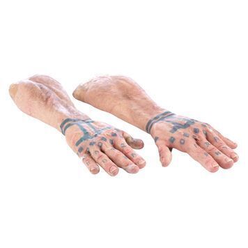 Lot # 1004 : HOBBIT: AN UNEXPECTED JOURNEY (2012), THE - Dwalin's (Graham McTavish) Prosthetic Dwarf Arms
