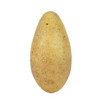 Lot # 1094 : JURASSIC PARK III (2001) - Raptor Egg