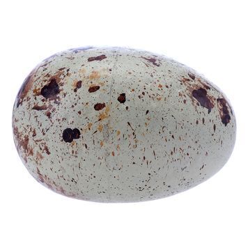 Lot # 1097 : JURASSIC WORLD (2015) - Dinosaur Egg
