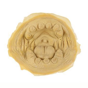 Lot # 1334 : STAR WARS: THE PHANTOM MENACE (1999) - Yoda Mouth and Teeth Casting
