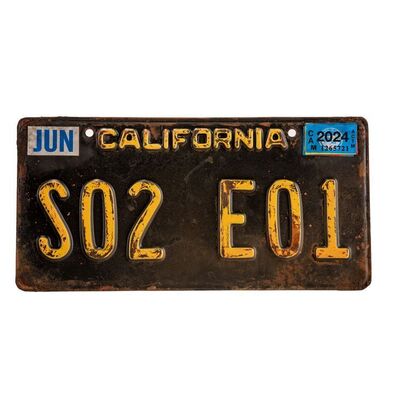Lot # 233: Young Guinan (Ito Aghayere) License Plate