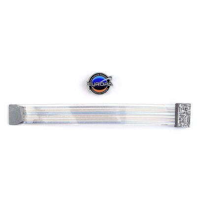 Lot # 246: Renee Picard (Penelope Mitchell) Europa Launch Gala Wristband and Europa Pin