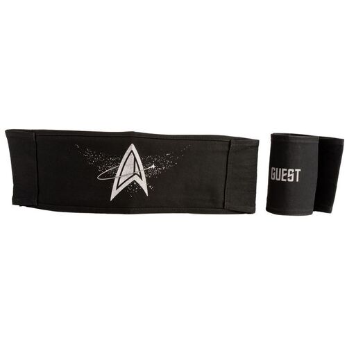 Lot # 281: Set of Two Star Trek: Picard Production Chair Backs