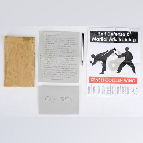 Lot #45: MARVEL'S IRON FIST (T.V. SERIES, 2017 - 2018) - Danny Rand's K'un-Lun Book, Letter, Pen, and Chikara Dojo Flyer