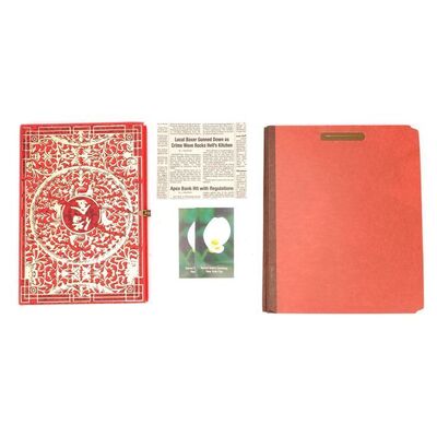 Lot #158: MARVEL'S DAREDEVIL (T.V. SERIES, 2015 - 2018) - Matt Murdock's Braille Documents with Elektra Natchios' Stolen Ledger and Funeral Cards