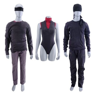 Lot #189: MARVEL'S DAREDEVIL (T.V. SERIES, 2015 - 2018) - Daredevil Vigilante Costumes with Mask Components and Elektra Natchios' Tunic