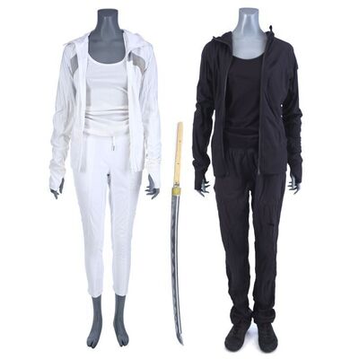 Lot #225: MARVEL'S IRON FIST (T.V. SERIES, 2017 - 2018) - Colleen Wing's Damaged Cage Fight with Partial Stunt Katana and Red Hook Pier Costumes