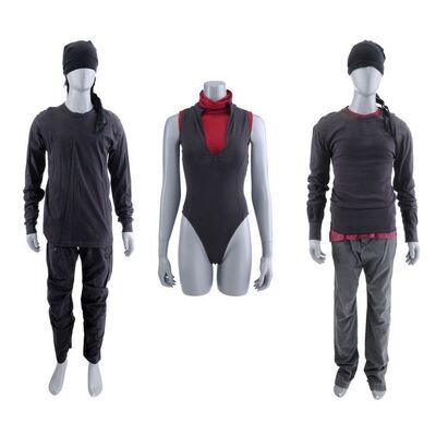 Lot #403: MARVEL'S DAREDEVIL (T.V. SERIES, 2015 - 2018) - Daredevil Vigilante Costumes with Mask Components and Elektra Natchios' Tunic