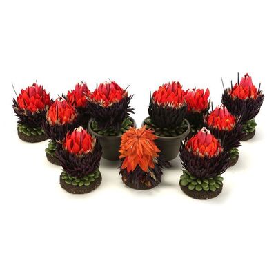Lot #463: MARVEL'S LUKE CAGE (T.V. SERIES, 2016 - 2018) - Set of 11 Faux Nightshade Plants