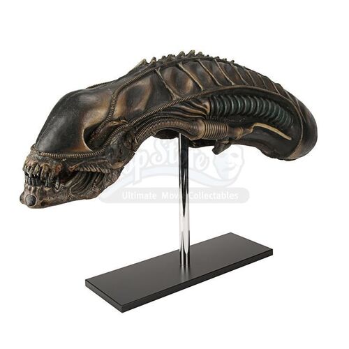 ALIENS (1986) - SFX Xenomorph Creature Head