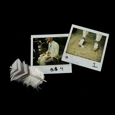 FORREST GUMP (1994) - Forrest Gump's (Tom Hanks) Feather and Pair of Continuity Photographs
