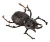 INDIANA JONES AND THE TEMPLE OF DOOM (1984) - Banquet Beetle
