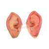 THE LORD OF THE RINGS (2001-2003) - Frodo's (Elijah Wood) Hobbit Ears