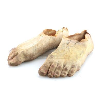 LORD OF THE RINGS (2003-2005) - Merry's (Dominic Monaghan) Feet Appliances