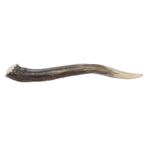 Lot # 126: BRAVEHEART (1995) - Stephen's (David O'Hara) Screenmatched Horn Dagger