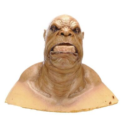 Lot # 167: CHRONICLES OF NARNIA, THE: THE LION, THE WITCH AND THE WARDROBE (2005) - Ogre Make-up Test Bust