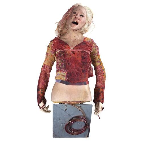 Lot # 212: DEATH PROOF (2007) - Pam's (Rose McGowan) Bloodied SFX Crash Torso