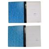 Lot # 237: DUNE (1984) - Charles Lippincott Collection: Brass Brad Bound First Draft Scripts and Treatment