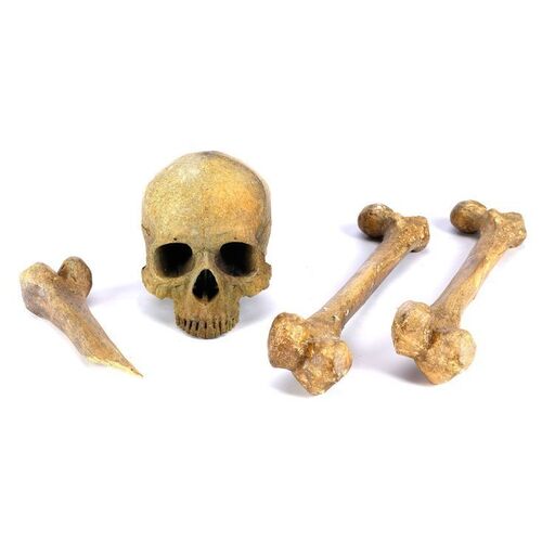 Lot # 309: GEMINI MAN (2019) - Set of Catacombs Bones