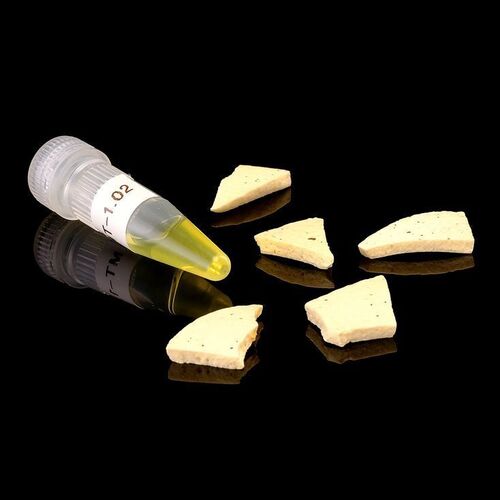Lot # 451: JURASSIC PARK (1993)/ JURASSIC PARK III (2001) - DNA Vial and Egg Shell Pieces