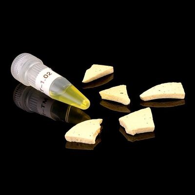 Lot # 451: JURASSIC PARK (1993)/ JURASSIC PARK III (2001) - DNA Vial and Egg Shell Pieces