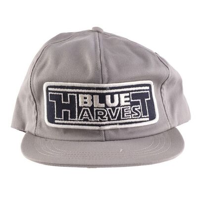 Lot # 823: STAR WARS: RETURN OF THE JEDI (1983) - Blue Harvest Hat