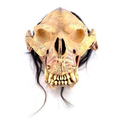 Lot # 1012: WARCRAFT (2016) - Pierced Orc Skull