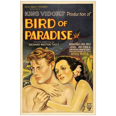 Lot # 411: BIRD OF PARADISE - One-Sheet (27" x 41"); Stone Litho; Very Good on Linen
