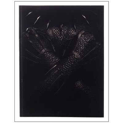 Lot # 993: BLACK PANTHER - Book (76 Pages) (9" x 12") Personal Letter Autographed by Ryan Cooglar; Exhibitor Book for Press; Near Mint
