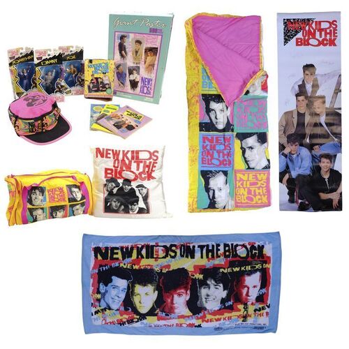 Lot # 14: Erica Goldberg's (as played by Hayley Orrantia) New Kids on the Block Bedroom Items
