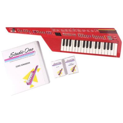 Lot # 49: Adam and Erica Goldberg's (as played by Sean Giambrone and Hayley Orrantia) Keytar with Erica's Demo Tapes and Song Book