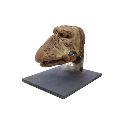 Lot #109 - Mechanical Mystic Walking Puppet Head ### DARK CRYSTAL, THE (1982)