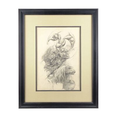 Lot #110 - Framed Published Hand-Drawn Brian Froud Mystics Concept Artwork ### DARK CRYSTAL, THE (1982)