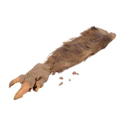Lot #163 - Stuart Ziff Collection: Clawed Demon Creature Glove ### GHOSTBUSTERS (1984)
