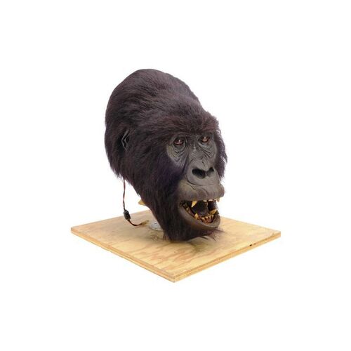 Lot #194 - Animatronic Rogue Gorilla Mask ### GORILLAS IN THE MIST (1988)